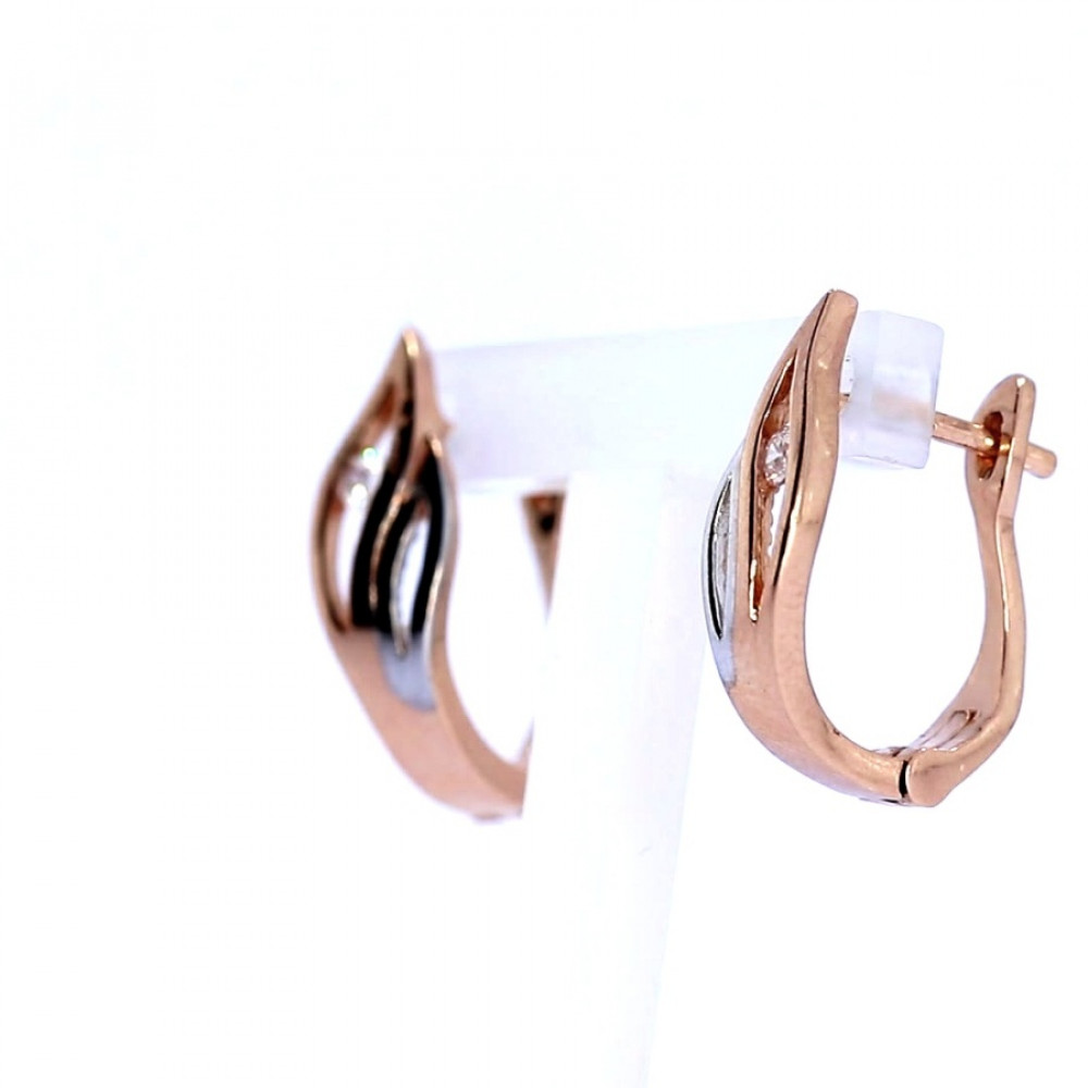 Kuldsed kõrvarõngad