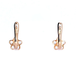 Gold earrings with zircon