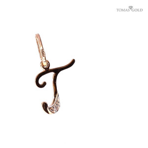 Auksinis  pakabukas „Raidė“