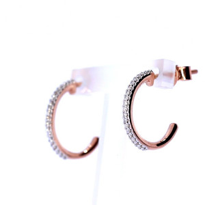 Vääriskividega kuldsed kõrvarõngad