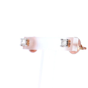 Vääriskividega kuldsed kõrvarõngad