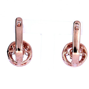 Auksiniai auskarai su brangakmeniais