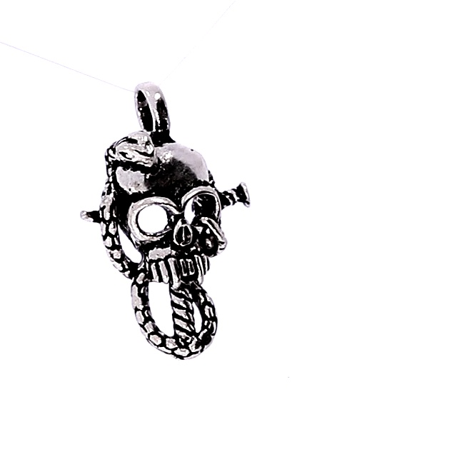 Sidabrinis pakabukas