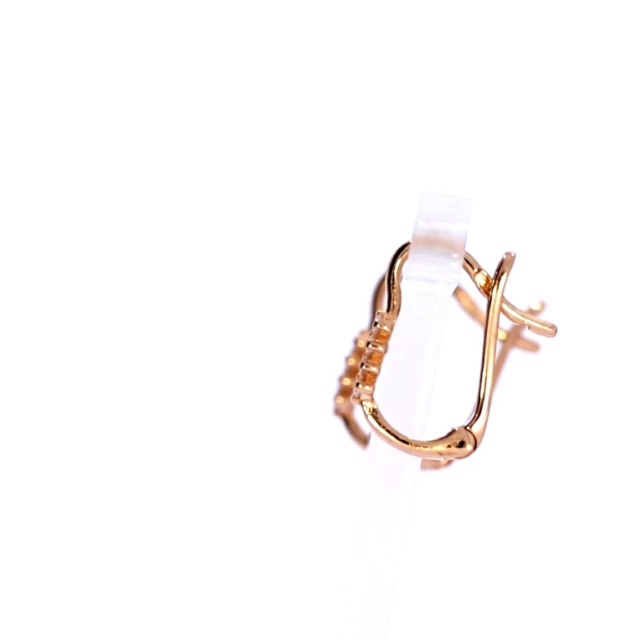 Tsirkooniga kuldkõrvarõngad