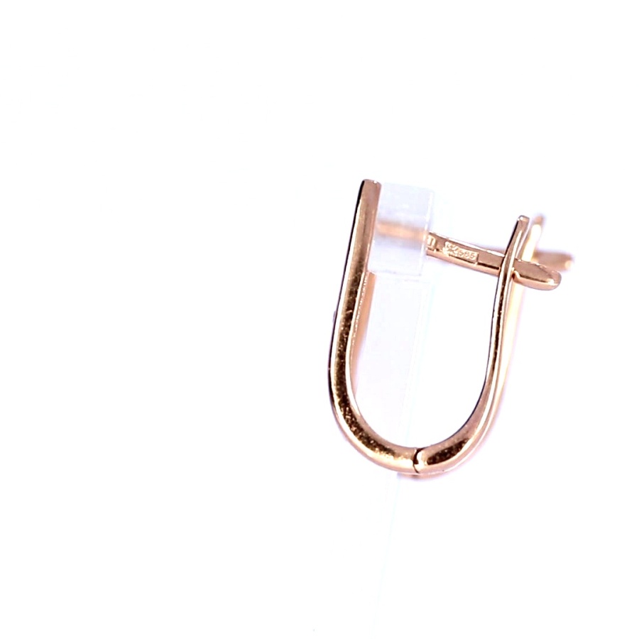 Tsirkooniga kuldkõrvarõngad