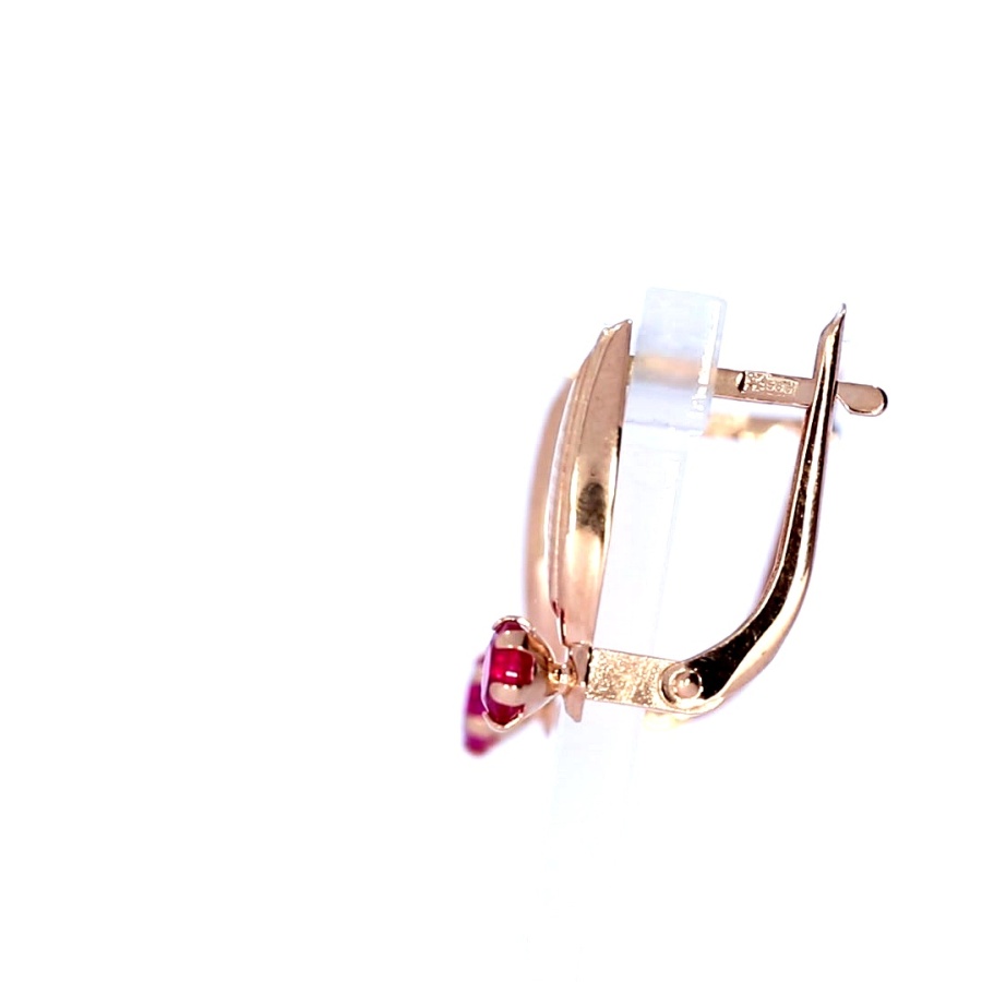 Kuldsed kõrvarõngad