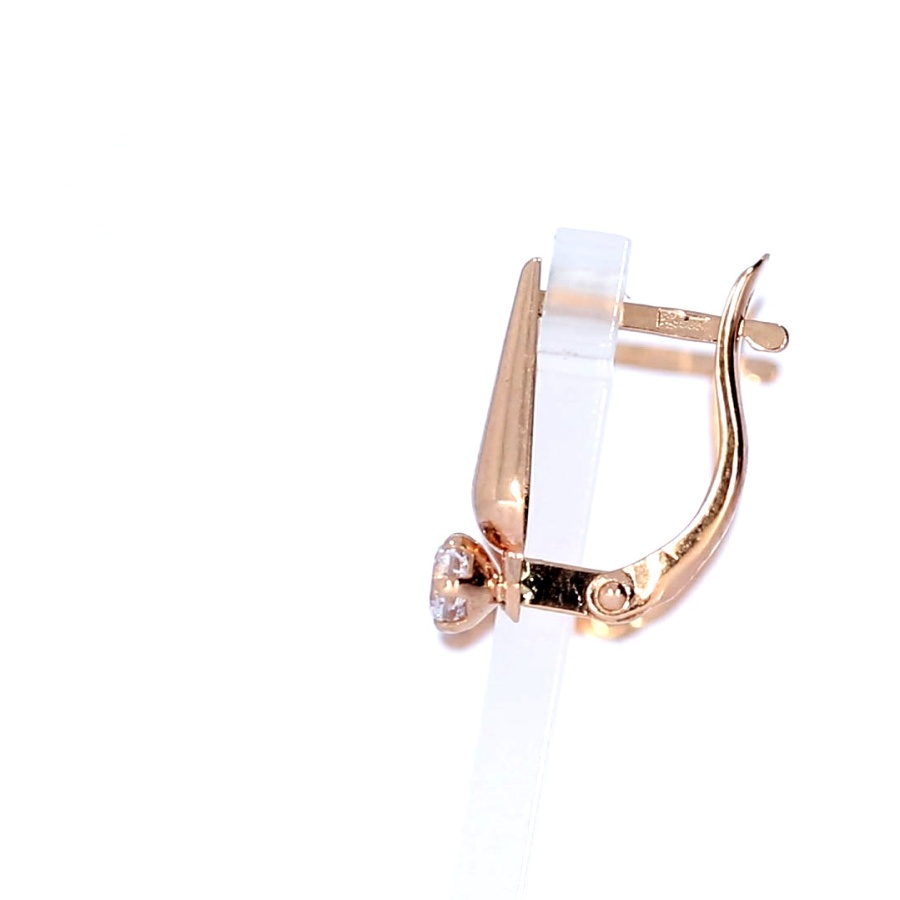 Kuldsed kõrvarõngad