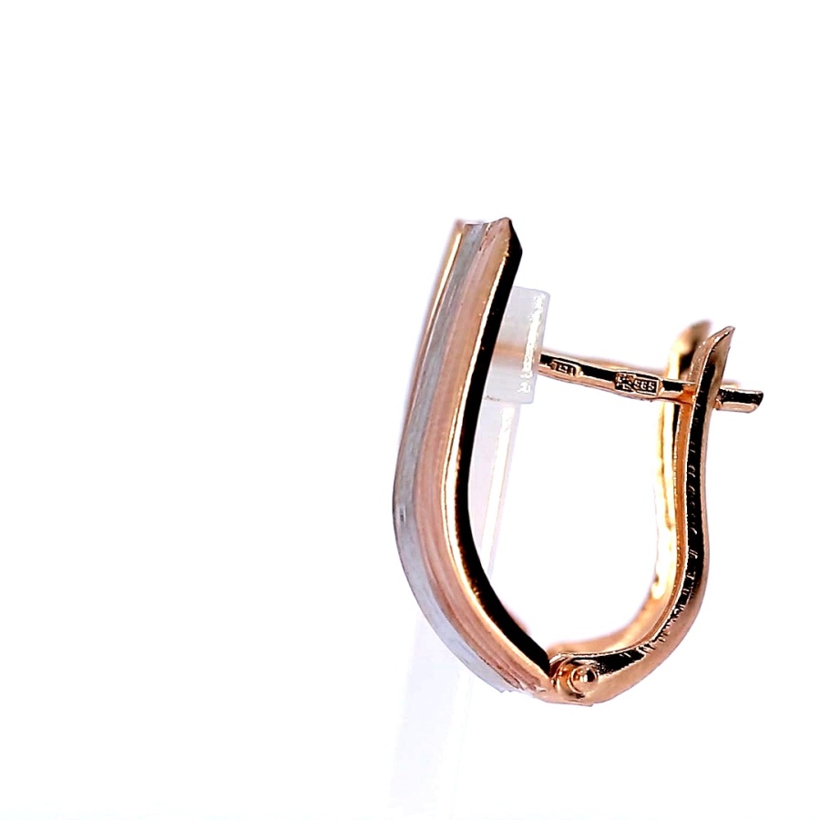 Golden earrings