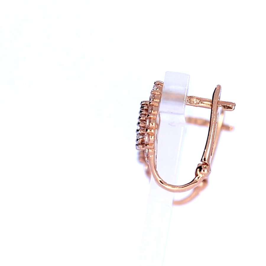 Kuldsed kõrvarõngad